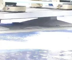 La vecchia scuola di LH bruna f (lesbica)