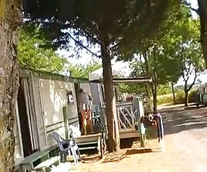 Nick East, Chris Cannon, e Nikki Anderson