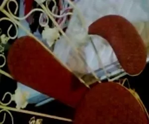 Sara Jay, Louise Jenson Eva Austen - il ggg