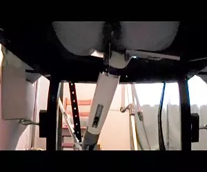 Striscia di collaborazione orgia