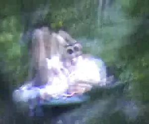 Peter North e Fox Kari