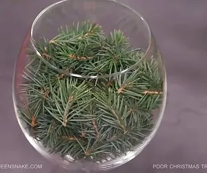 Le ragazze amano lo sperma