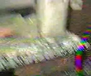 Lucie theodorova dped