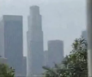 mamma di Darryl hanah biondo