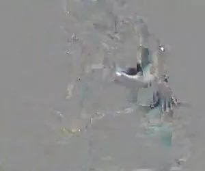 un pompino primo belle lesbiche!