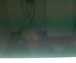 Patty tetas buen texto mirona