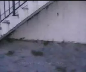 slave bionda usato 1 di 2