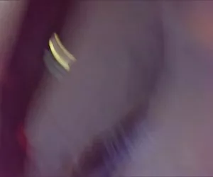 Cutie legato a una lettiera