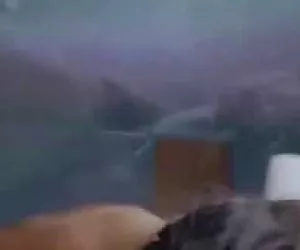 dolce perversa (dolce perversioni)