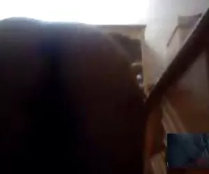 ONU jeune italien et sa prof