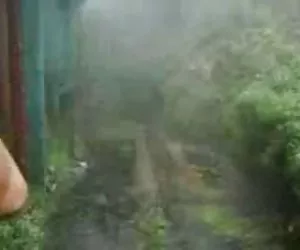 Callie Calypso Nikki Bell leccare la figa calda e lesbico