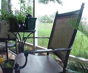 pompino alla biblioteca