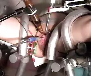 La pornostar americana armonia rosa vecchio