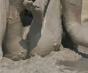 Diploma ( carico ) di ingoiare la compilazione due