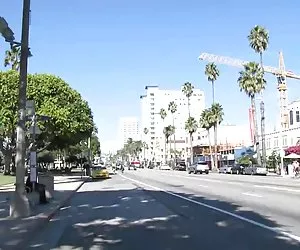 cazzo di compilazione