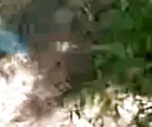 mondo schiacciato fagioli