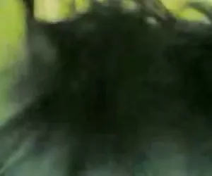 Santa Silvia + caylian curtis, xcalimbur (gr-2)