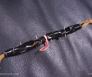 frustrazione matrigne piuttosto giovane conduce alla educazione sessuale