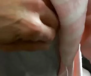 Dan quichotte und die frauen