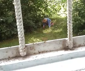 saremo gallo suck'in