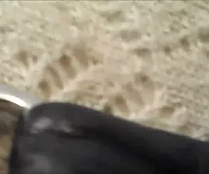 piccola teen top lupe