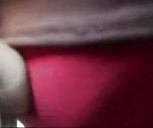 gallo indiano di saree indiani vs