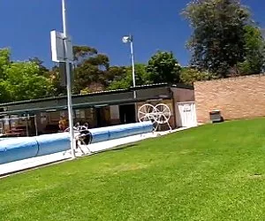 bella brunetta gf tradimenti