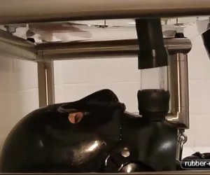 mia malkova e whitney westgate Trio hardcore