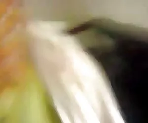 bbc1971 sempre succhiare il cazzo